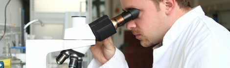 Research Summary: Differences in gut bacteria composition may contribute to some cases of Autism Spectrum Disorder