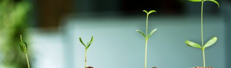 Research Study: Free Web-Based Mindfulness Groups for Parents and their Adult-Child with ASD